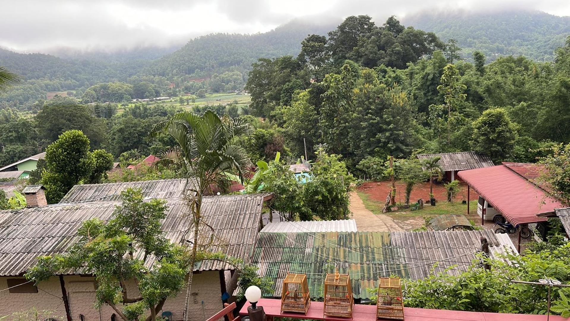 Forest Guesthouse Samoeng 외부 사진